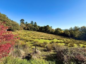 Photo 40- click for photo gallery